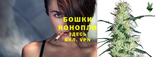 бошки Арсеньев