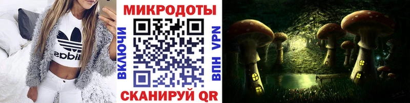 цены наркотик  Петровск  Галлюциногенные грибы мицелий 